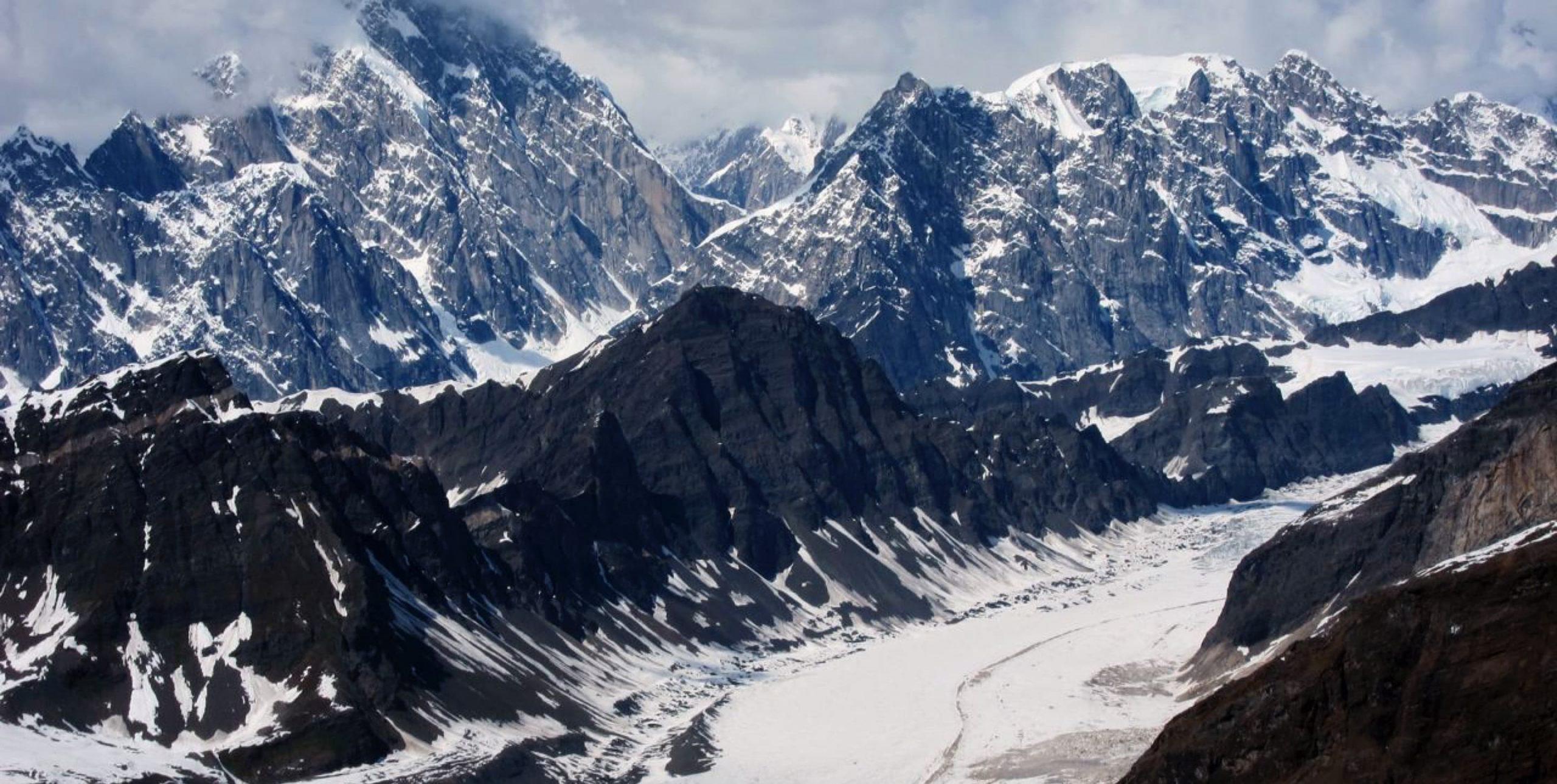 Discover Denali National Park