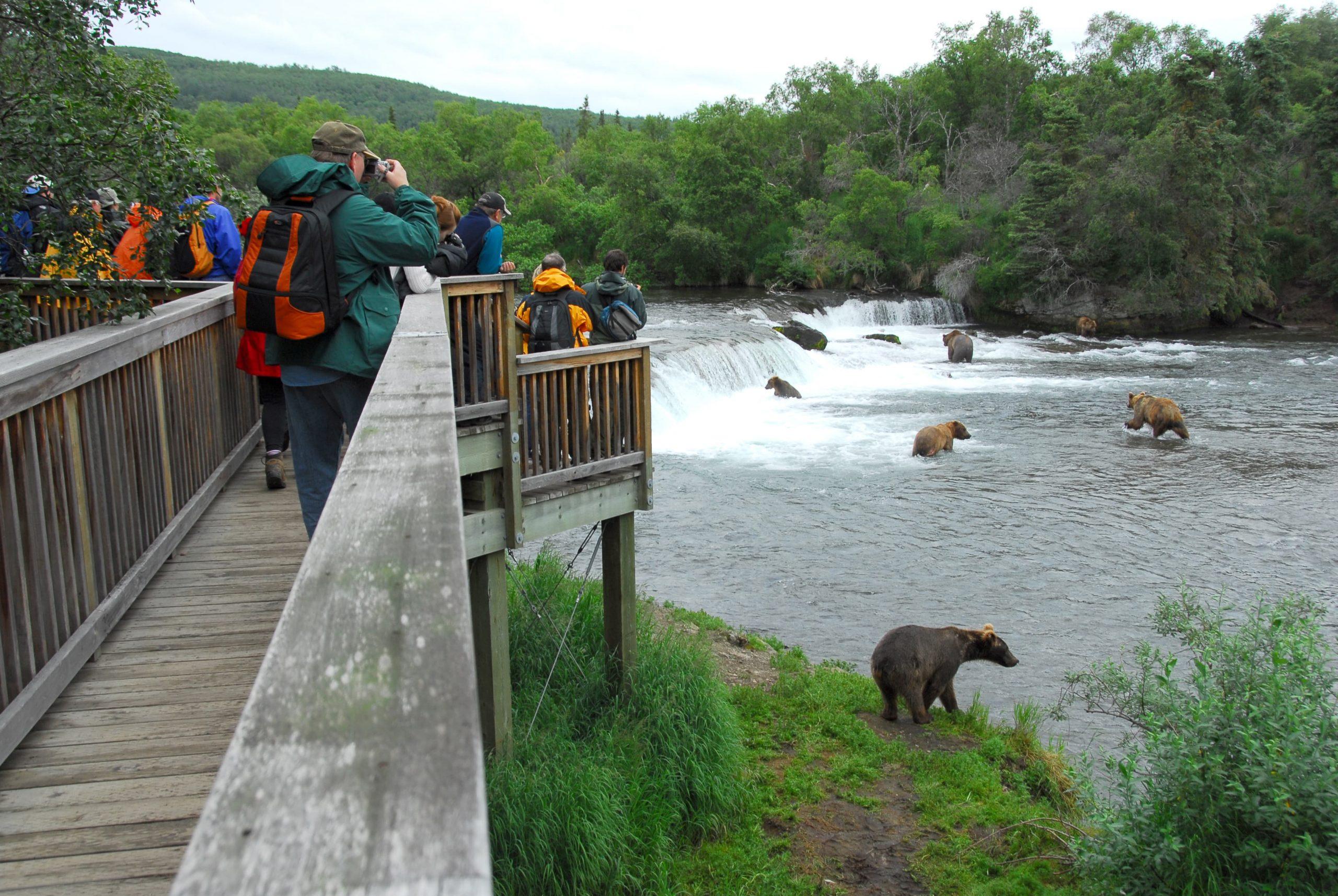 katmai bear tours from anchorage