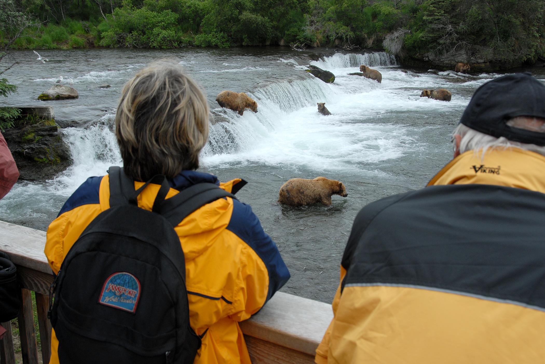 katmai bear tours from anchorage