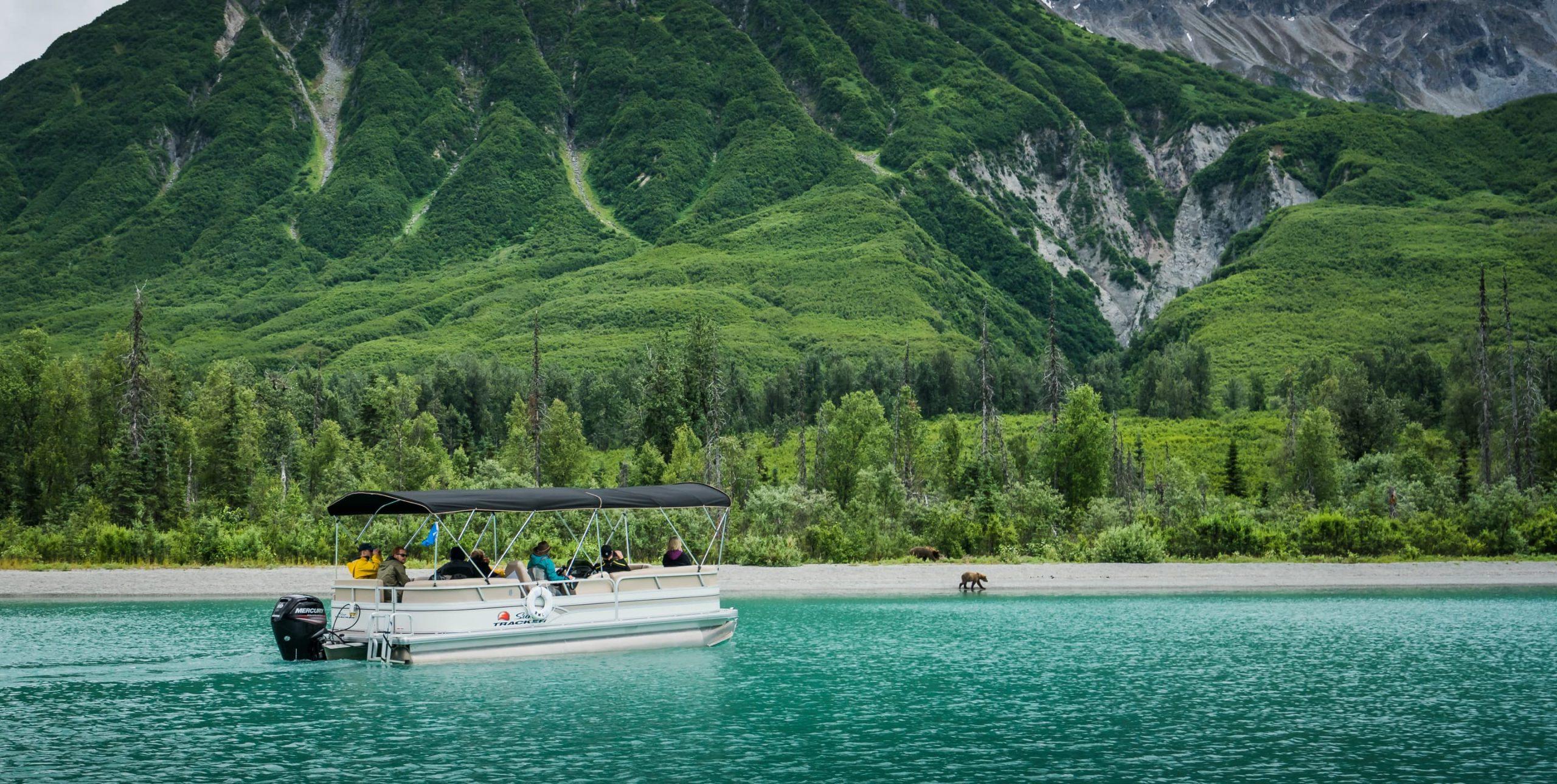 Alaska Bear Viewing Tours, The Best Tours in Alaska