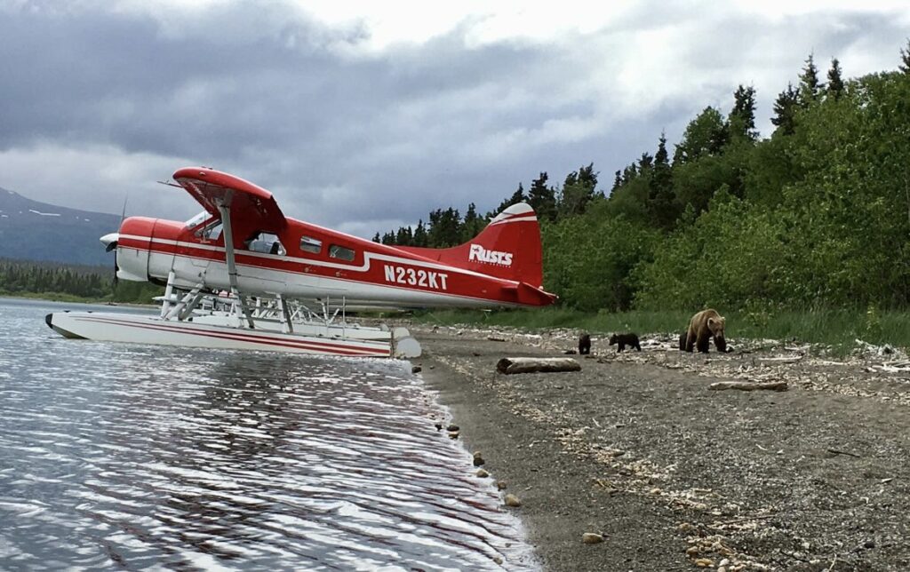 N232KT at Katmai with a brown bear sow and cubs